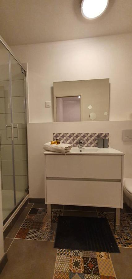 Studio Et Appartement A 2 Pas De La Cite 卡尔卡松 外观 照片
