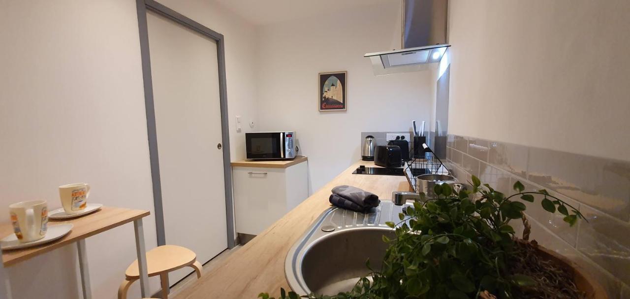 Studio Et Appartement A 2 Pas De La Cite 卡尔卡松 外观 照片
