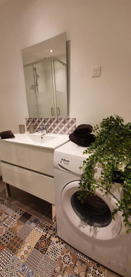Studio Et Appartement A 2 Pas De La Cite 卡尔卡松 外观 照片